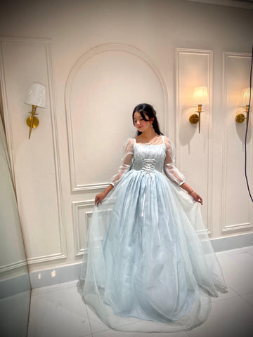 The Diamond Dust Gown